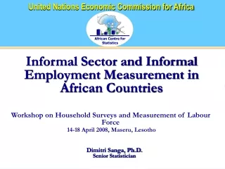 Informal Sector and Informal Employment Measurement in African Countries