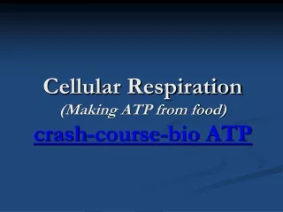 Cellular Respiration (Making ATP from food) crash-course-bio ATP