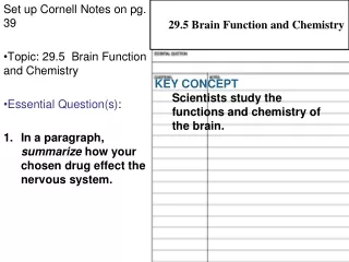 Set up Cornell Notes on pg. 39 Topic: 29.5  Brain Function and Chemistry Essential Question(s) :