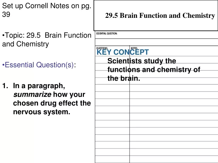 29 5 brain function and chemistry