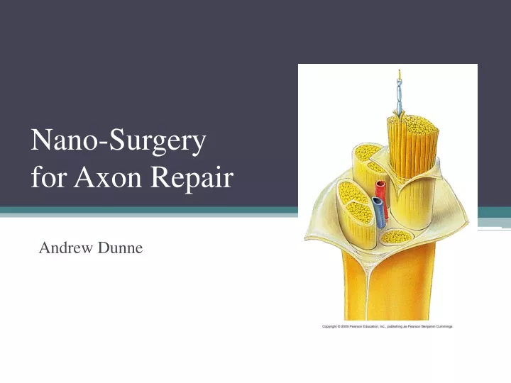 nano surgery for axon repair