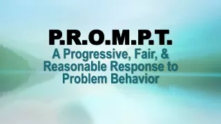 P.R.O.M.P.T. A Progressive, Fair, &amp; Reasonable Response to Problem Behavior