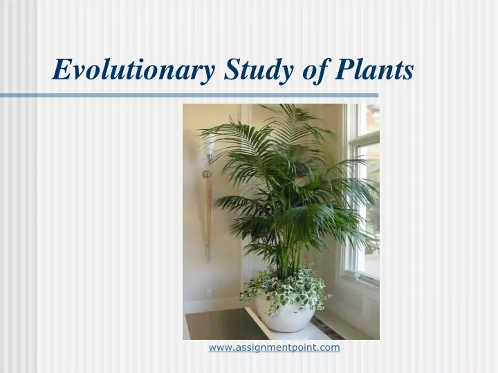 evolutionary study of plants