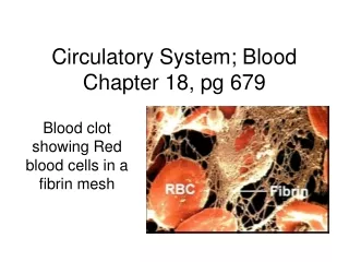 Circulatory System; Blood Chapter 18, pg 679