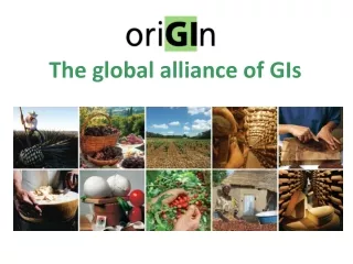 The global alliance of GIs