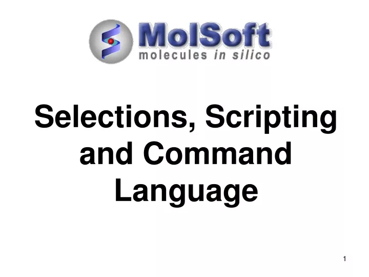 selections scripting and command language