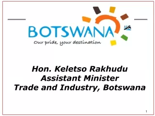 Hon. Keletso Rakhudu Assistant Minister  Trade and Industry, Botswana