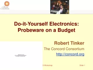 Do-it-Yourself Electronics: Probeware on a Budget