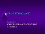 Comprehensive Guide to Crop Insurance Plans in America - slide 1