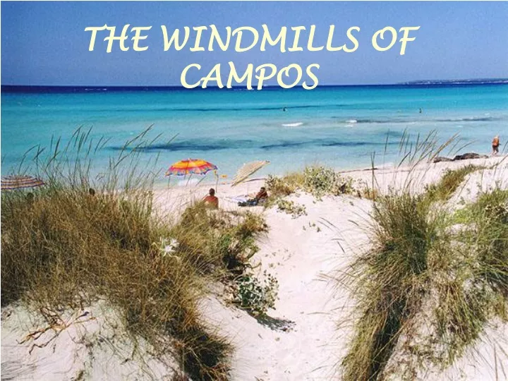 the windmills of campos