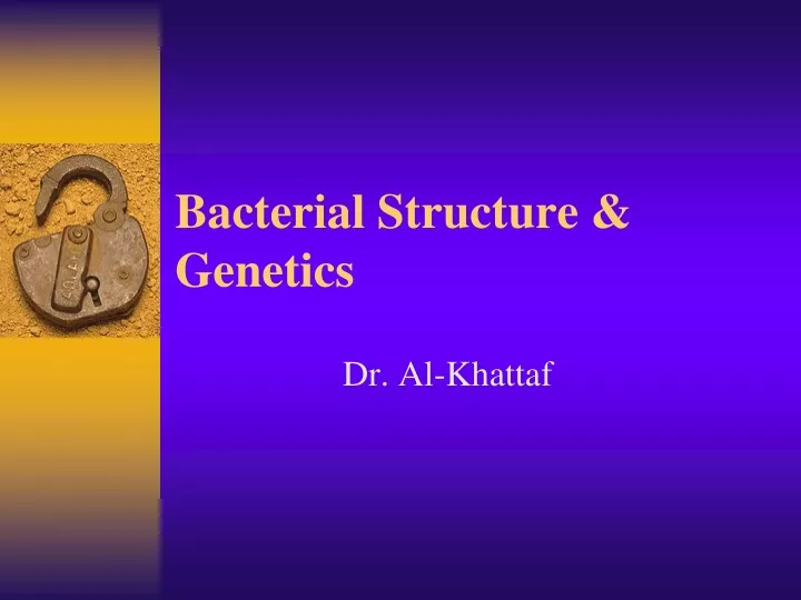 bacterial structure genetics