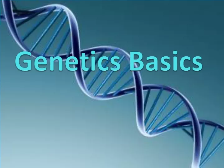 genetics basics