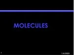 Amino Acids: The Building Blocks of Proteins - slide 1