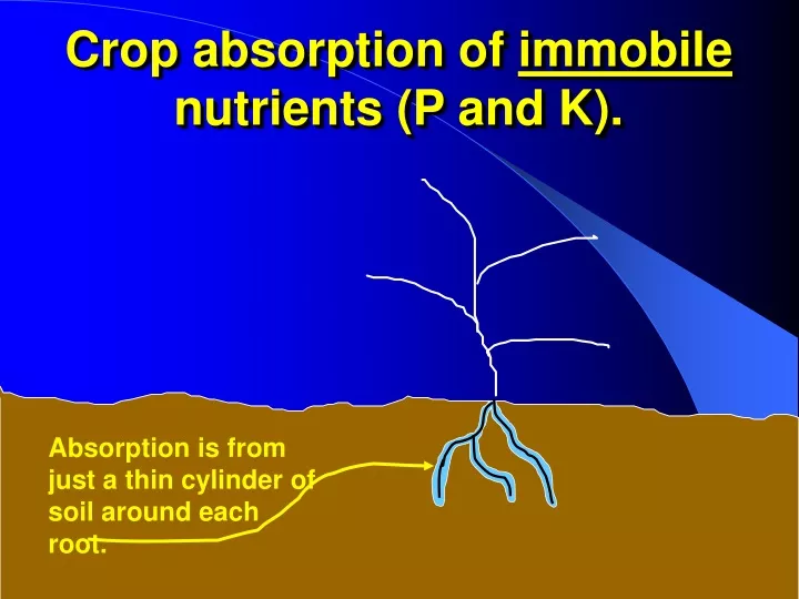 crop absorption of immobile nutrients p and k