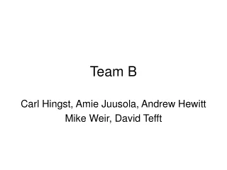 Team B