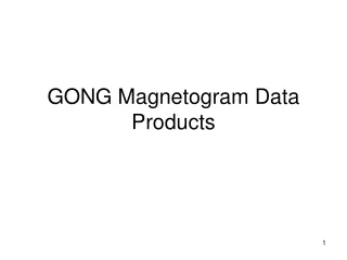GONG Magnetogram Data Products