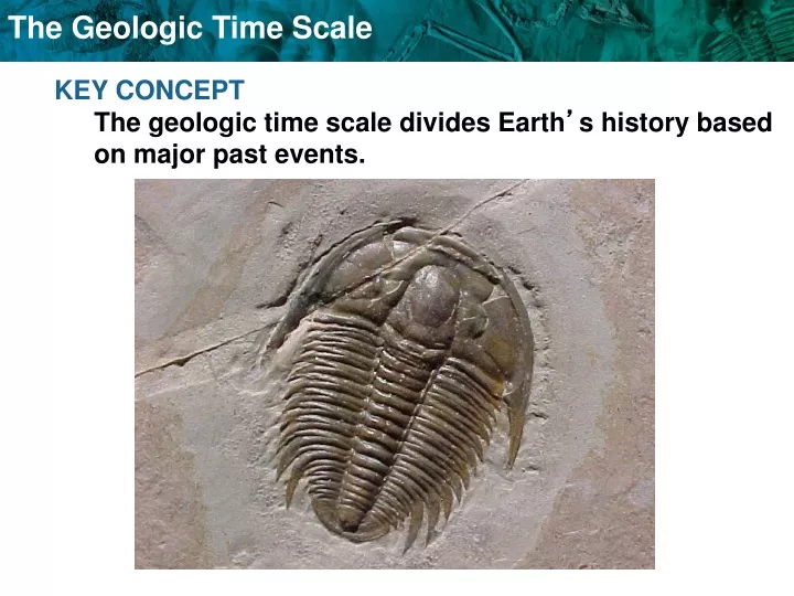 key concept the geologic time scale divides earth