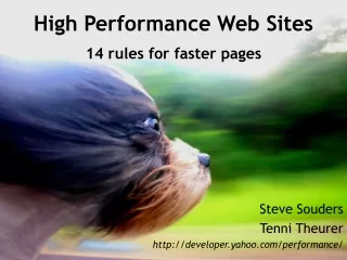 High Performance Web Sites 14 rules for faster pages