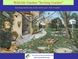 Wild life Garden-”Inviting Garden”