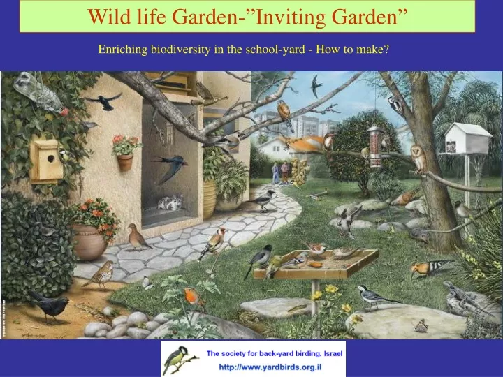 wild life garden inviting garden