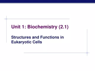 Unit 1: Biochemistry (2.1)
