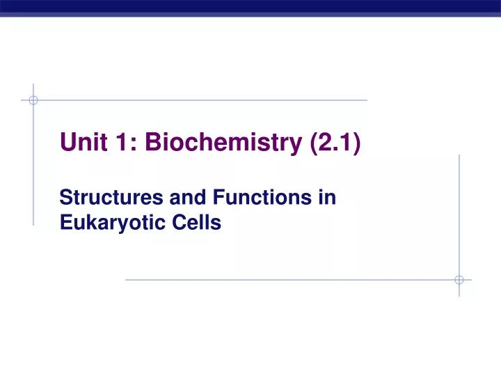 unit 1 biochemistry 2 1