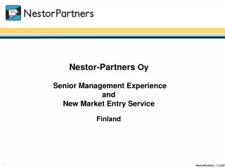 Nestor-Partners  Oy  S enior Management Experience and New Market Entry Service Finland