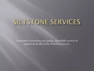 Siltstone Services