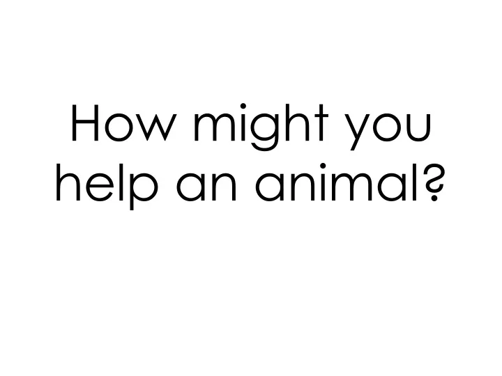 how might you help an animal