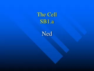 The Cell SB1.a
