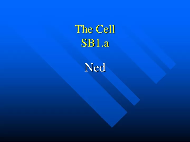 the cell sb1 a