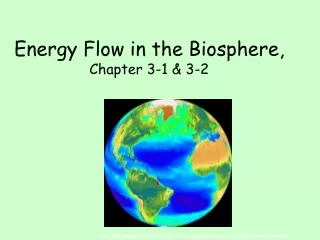 Energy Flow in the Biosphere,  Chapter 3-1 &amp; 3-2