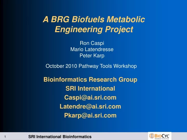a brg biofuels metabolic engineering project