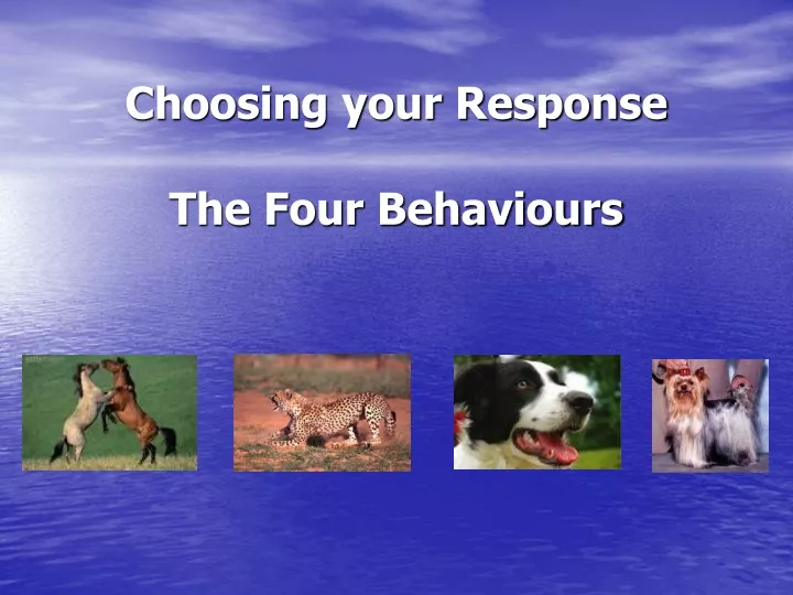 choosing your response the four behaviours