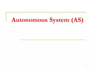 Autonomous System (AS)