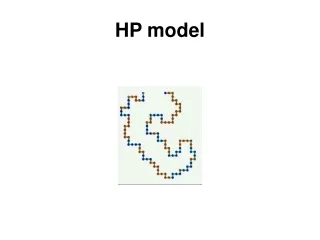HP model