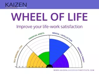 WHEEL OF LIFE Improve your life-work satisfaction