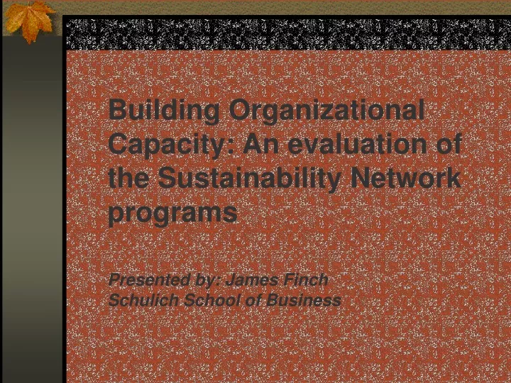 building organizational capacity an evaluation