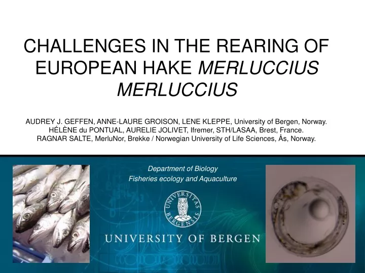 challenges in the rearing of european hake