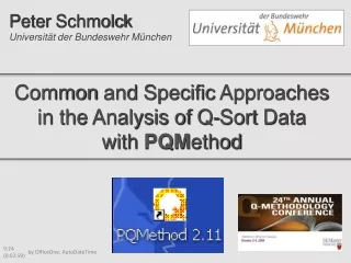 Common  and Specific  Approaches in  the  Analysis  of  Q- Sort  Data with PQM ethod