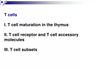 I. T cell maturation in the thymus 1. Process 2. Events