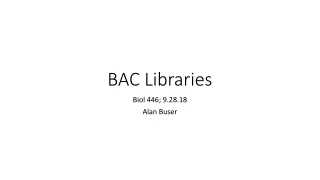 BAC Libraries