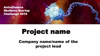 Company name/name of the project lead