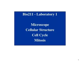 Bio211 - Laboratory 1 Microscope Cellular Structure Cell Cycle Mitosis