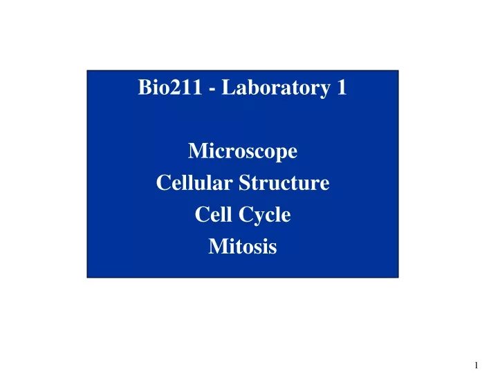 bio211 laboratory 1 microscope cellular structure cell cycle mitosis
