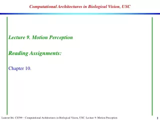 Computational Architectures in Biological Vision, USC