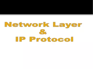 Network Layer  &amp;  IP Protocol