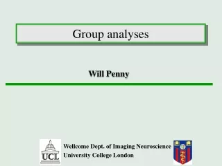 Group analyses