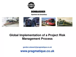 Global Implementation of a Project Risk Management Process