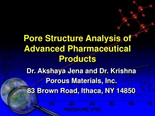 Pore Structure Analysis of Advanced Pharmaceutical Products